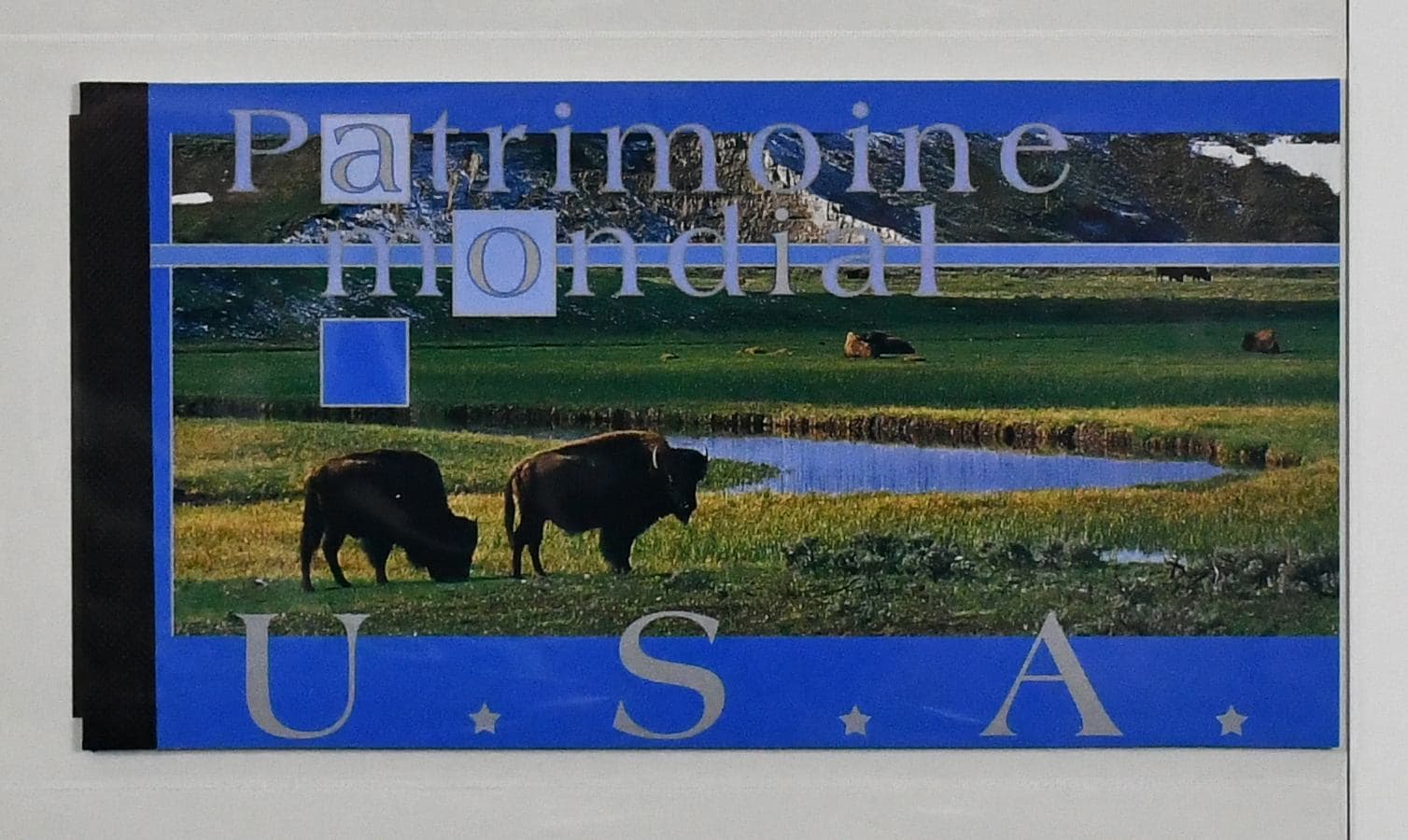 Bild 6121