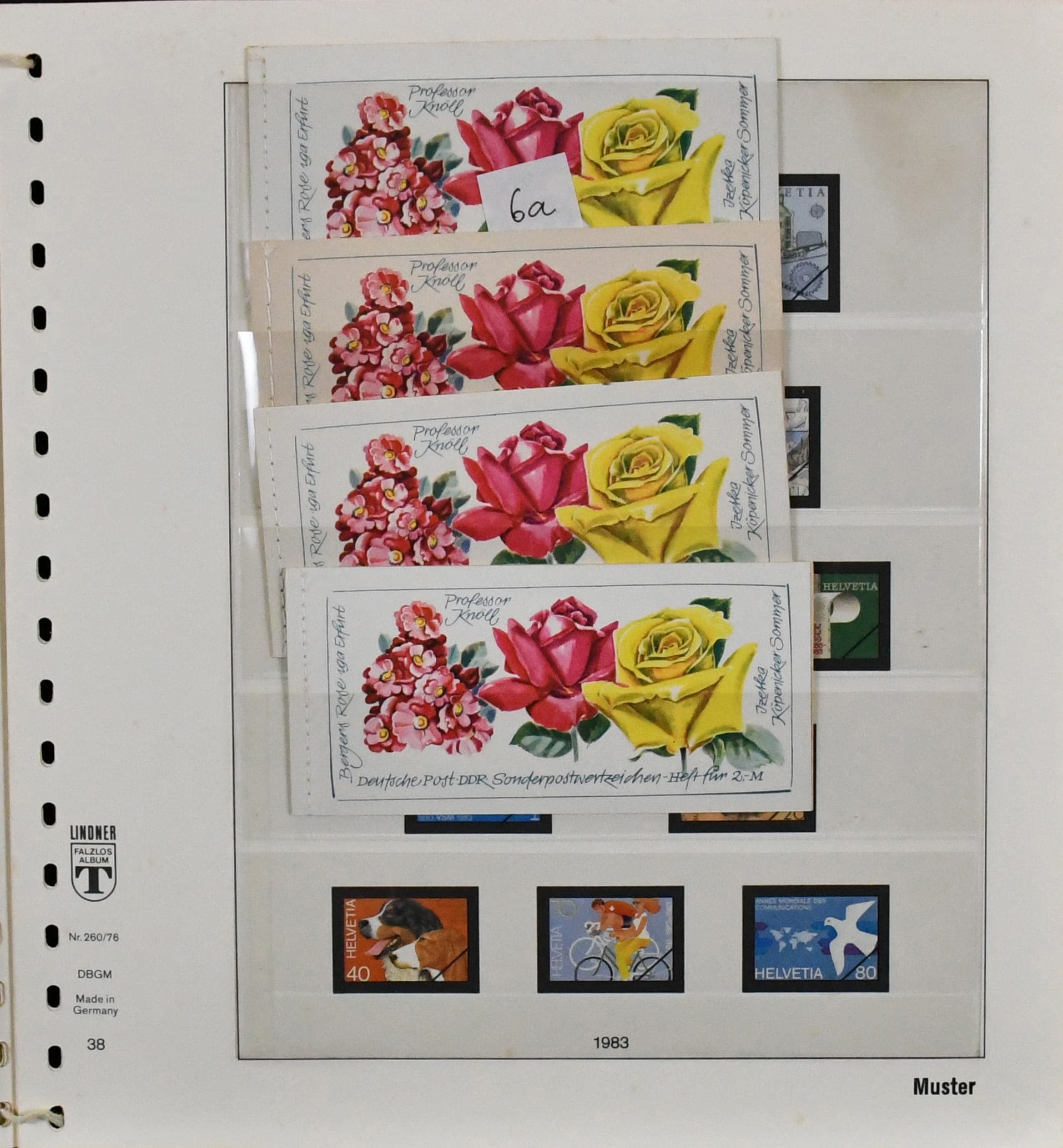 Bild 19824